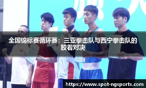 全国锦标赛循环赛：三亚拳击队与西宁拳击队的胶着对决